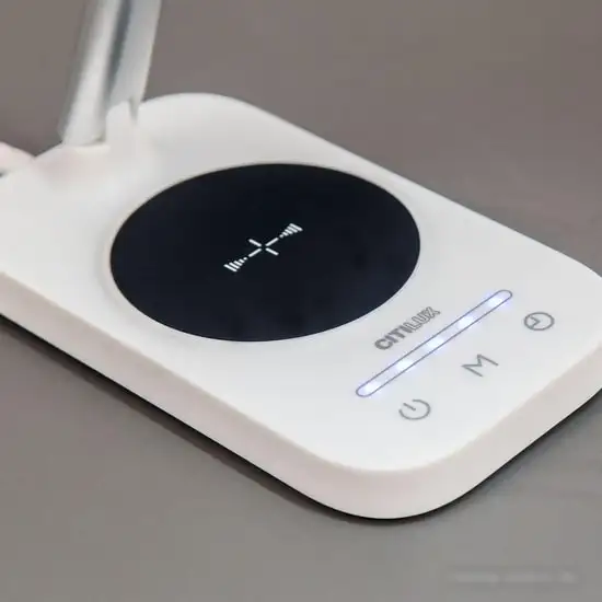 Настольная лампа Citilux Ньютон CL803051 – фото товара