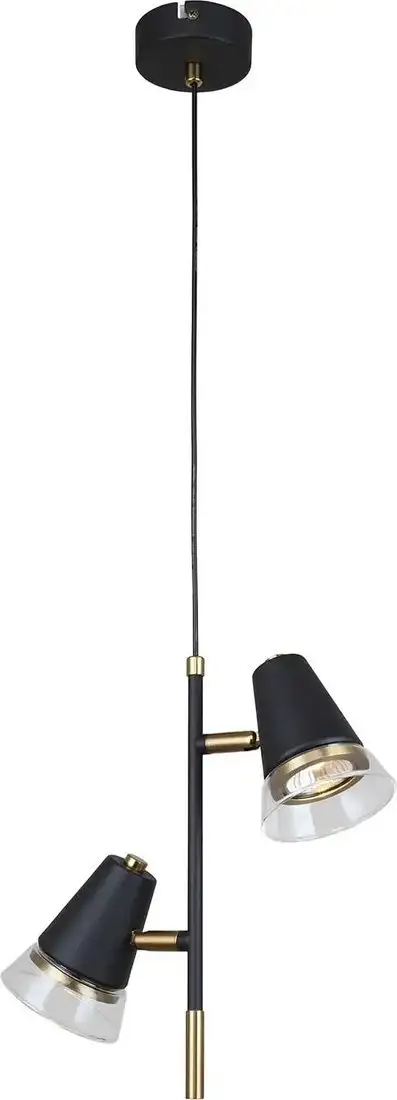 Подвесная люстра F-Promo Trandy 4618-2P – фото товара
