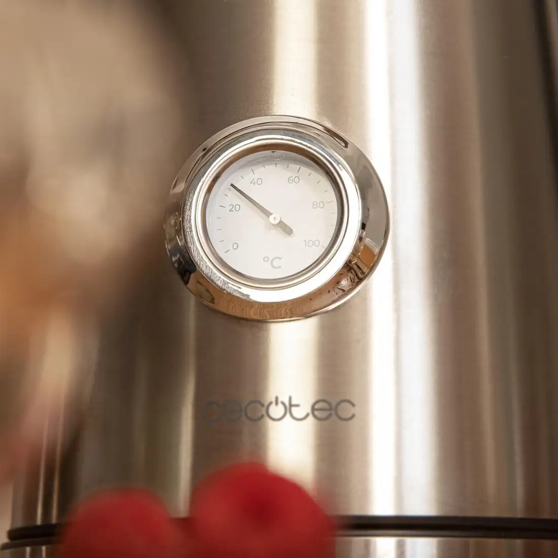 Электрический чайник Cecotec Thermosense 620 Vintage - фото товара