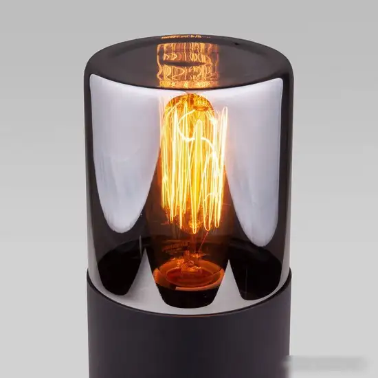 Садовый светильник Elektrostandard Roil 35125/S – фото товара