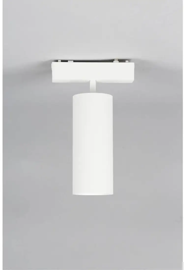 Трековый светильник Aployt Magnetic Track 48 APL.0114.10.18 – фото товара