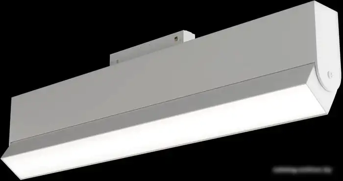 Линейный светильник Maytoni TR013-2-20W4K-W – фото товара