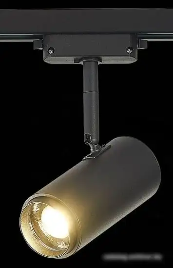 Трековый светильник ST Luce Zoom ST600.446.12 – фото товара