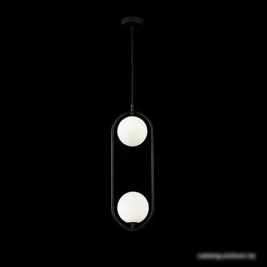 Подвесная люстра Maytoni Ring MOD013PL-02B – фото товара