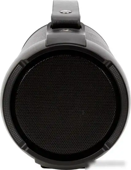 Беспроводная колонка Digma D-PS1520 (черный) – фото товара