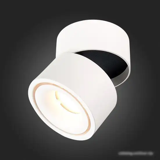 Припотолочная люстра ST Luce ST652 ST652.542.12 – фото товара