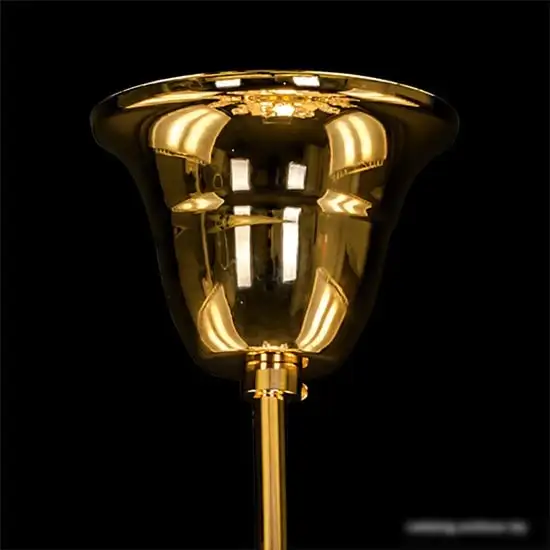 Люстра Lightstar Schon 790112 – фото товара