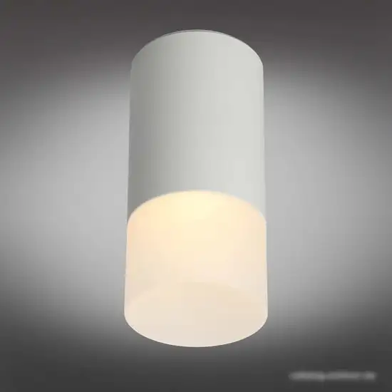 Точечный светильник Omnilux Lucido OML-100609-01 – фото товара