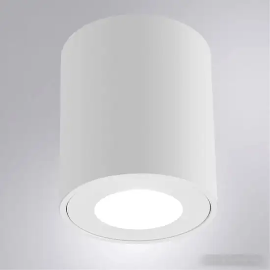 Точечный светильник Arte Lamp Tino A1469PL-1WH – фото товара