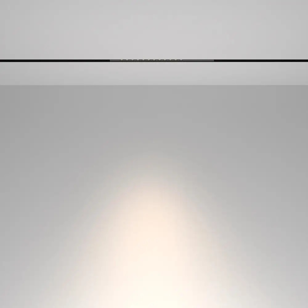 Трековый светильник Maytoni TR232-2-10W4K-B – фото товара