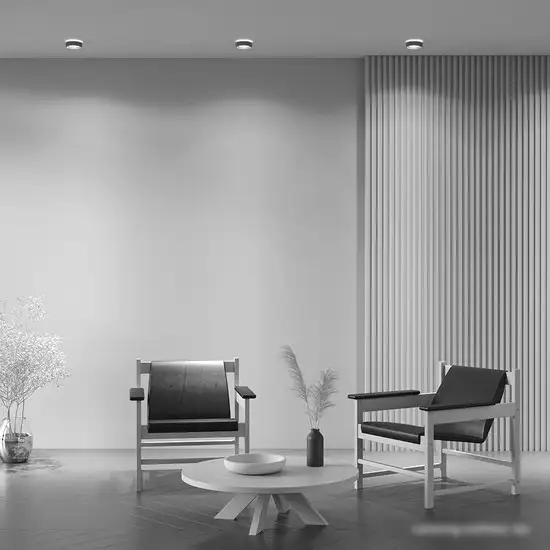 Точечный светильник Maytoni Planet DL035-2-L6B4K – фото товара