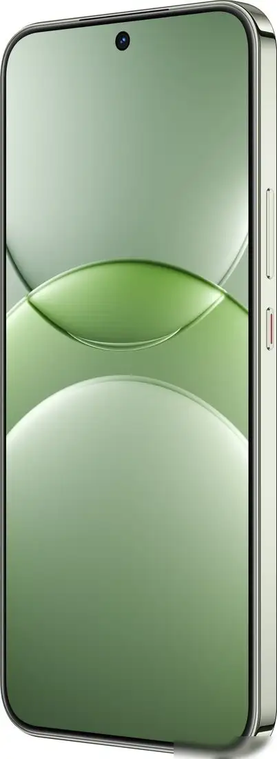 Смартфон Huawei nova 13 BLK-LX9 12GB/256GB (дымчатый зеленый) – фото товара