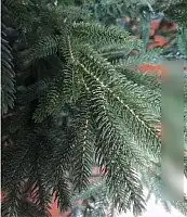 Ель Maxy Poland Императорская литая (1.8м) – фото товара