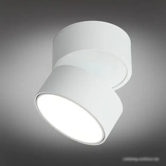 Спот Omnilux Lenno OML-101309-12 – фото товара