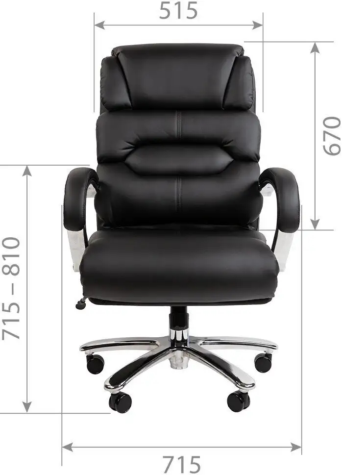 Офисное кресло CHAIRMAN 409 (экопремиум черный) – фото товара