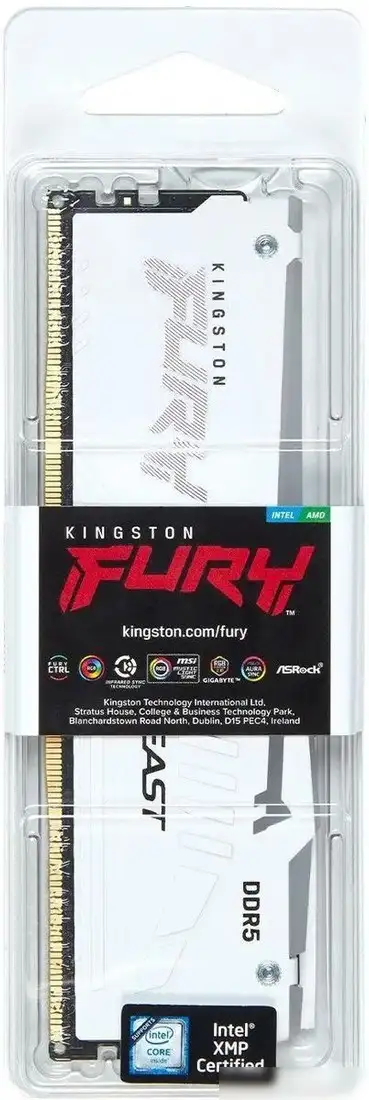 Оперативная память Kingston FURY Beast RGB 16ГБ DDR5 5600 МГц KF556C36BWEA-16 – фото товара