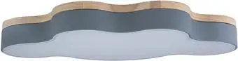 Люстра-тарелка LOFT IT Axel 10005/36 Grey – изображение в каталоге