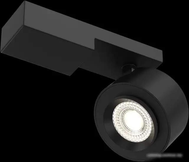 Точечный светильник Maytoni Treo C062CL-L12B3K – фото товара