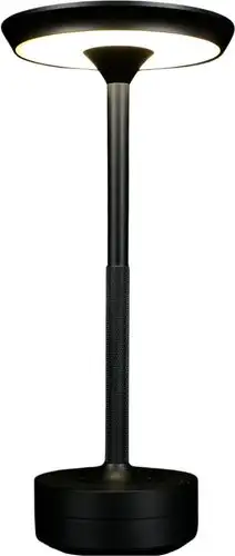 Настольная лампа Aployt APL.064.24.05 – изображение в каталоге