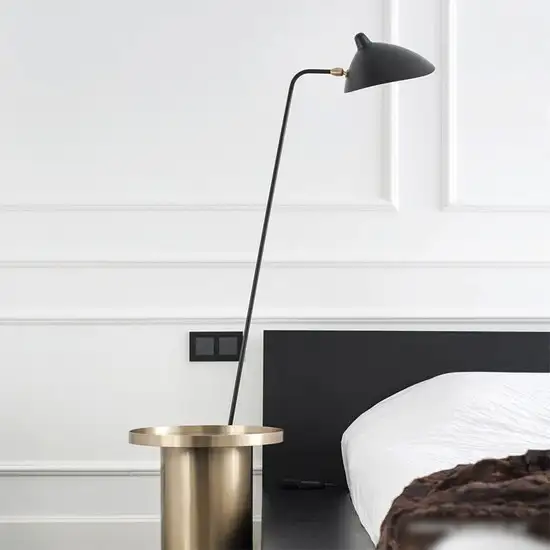 Торшер L'Arte Luce Spider L05641 – фото товара