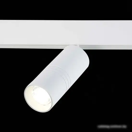 Трековый светильник ST Luce Lemmi ST365.546.18 – фото товара