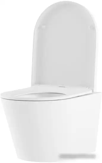 Унитаз Lavinia Boho Biore Rimless 21010006 (чаша, пневмокрышка, шум-я) - фото товара