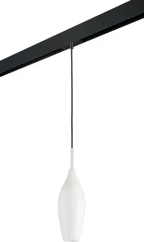 Трековый светильник Lightstar Pentola PRO803020 – изображение в каталоге