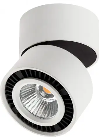 Точечный светильник Lightstar Forte Muro PRO214816 – изображение в каталоге