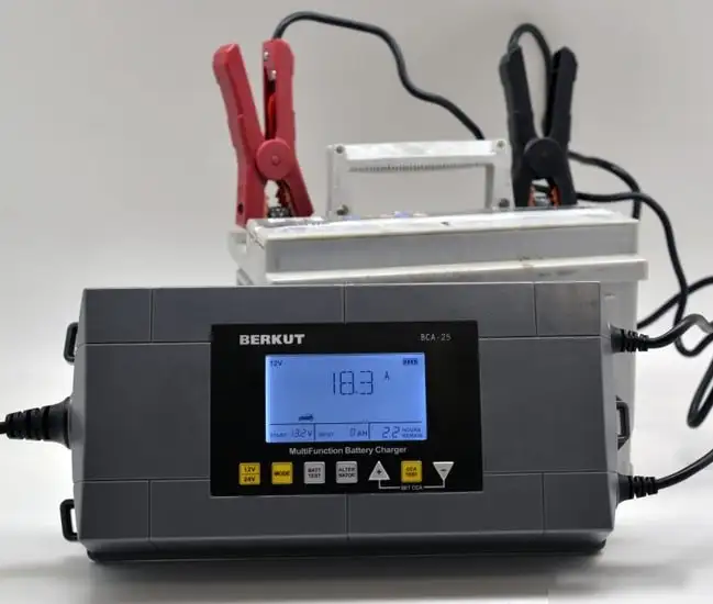 Зарядное устройство Беркут BCA-25 – фото товара