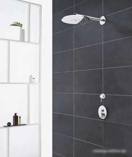 Душевая лейка Grohe Euphoria 260 26457000 - фото товара