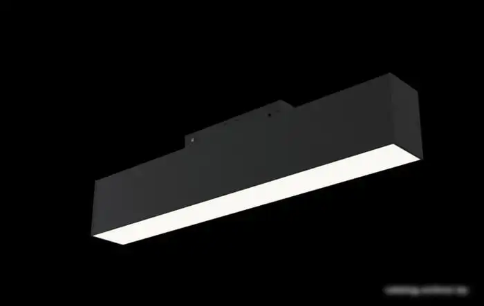 Трековый светильник Maytoni TR012-2-12W3K-B – фото товара