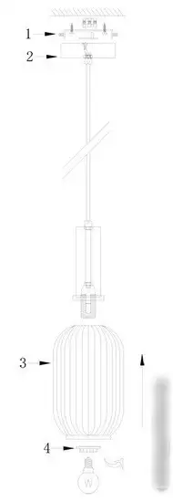 Подвесная люстра Freya Zelma FR8013PL-01AM – фото товара