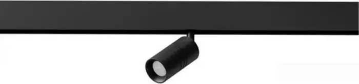 Трековый светильник Arte Lamp Expert A5720PL-1BK – фото товара