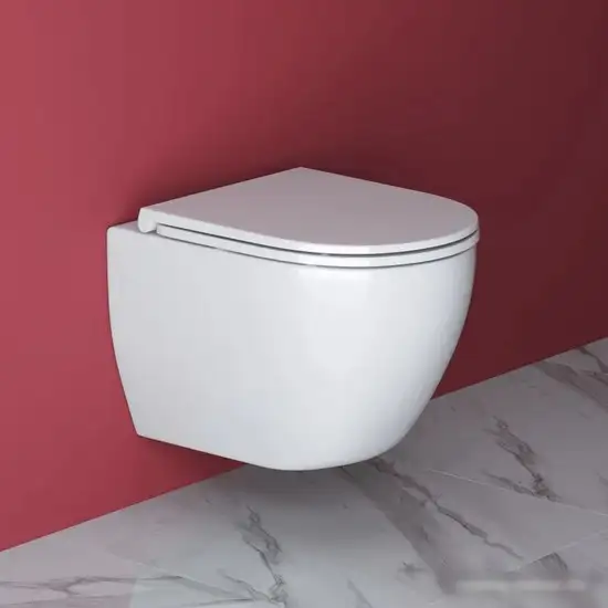 Унитаз подвесной Cezares Stylus-Tor CZR-6601-TH-TOR (без сиденья) - фото товара