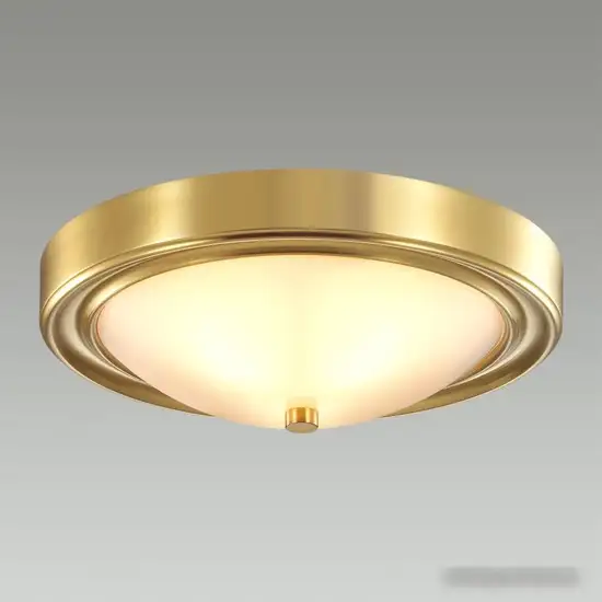 Припотолочная люстра Lumion Nina 5259/2C – фото товара