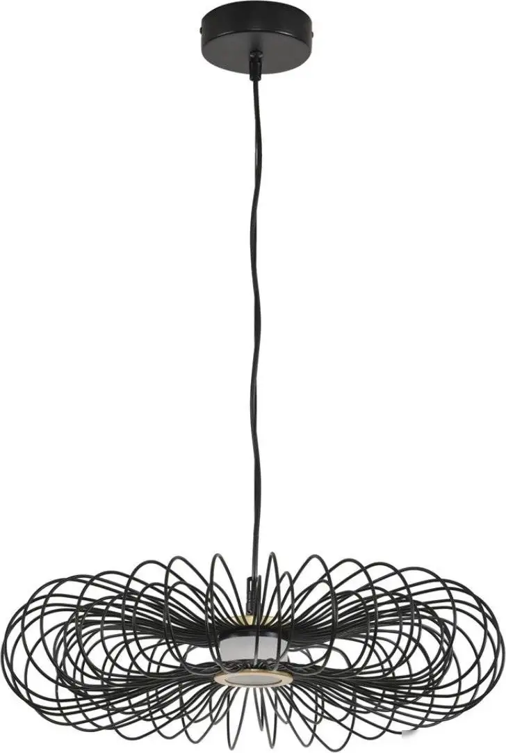 Подвесная люстра Lumion Camomile 8301/9L – фото товара