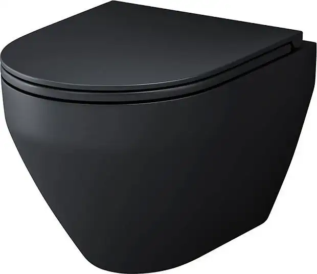 Унитаз подвесной AM.PM Spirit V2.0 CK70H1103B (черный с гигиеническим душем) - фото товара