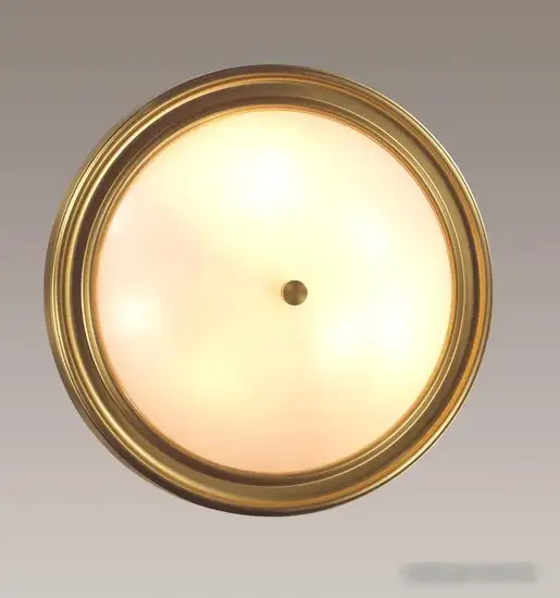 Припотолочная люстра Lumion Nina 5259/3C – фото товара