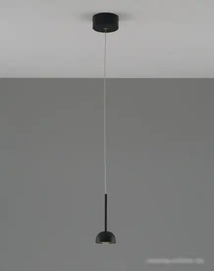 Подвесная люстра Moderli Fiona V10891-PL – фото товара