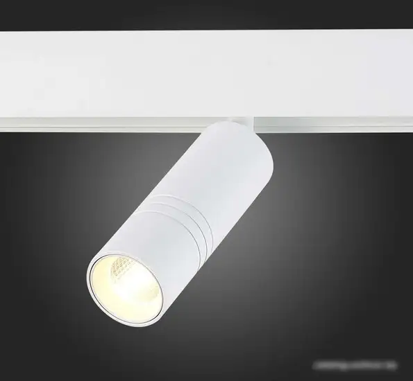 Трековый светильник ST Luce Lemmi ST365.536.12