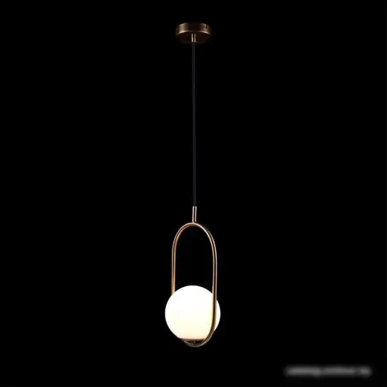 Подвесная люстра LOFT IT Glob LOFT2595-A – фото товара