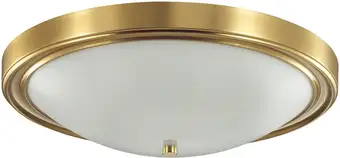 Припотолочная люстра Lumion Nina 5259/4C – изображение в каталоге