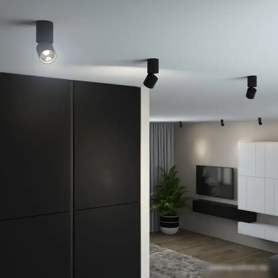 Спот Elektrostandard 25042/LED (черный) – фото товара