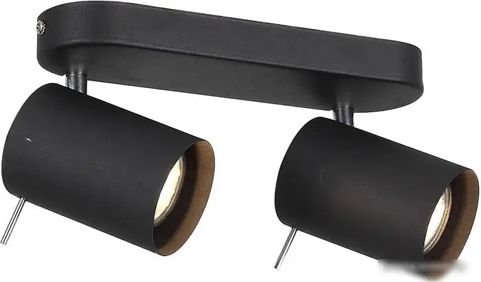Спот ST Luce Fanale SL597.401.02 – фото товара