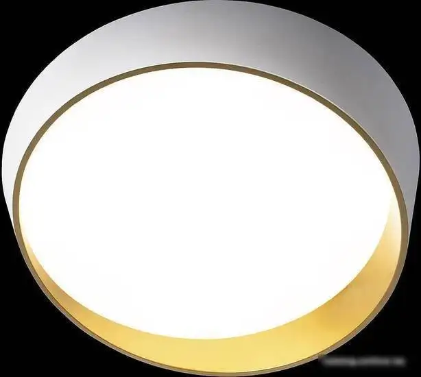 Припотолочная люстра LOFT IT Coin 10200 Black – фото товара