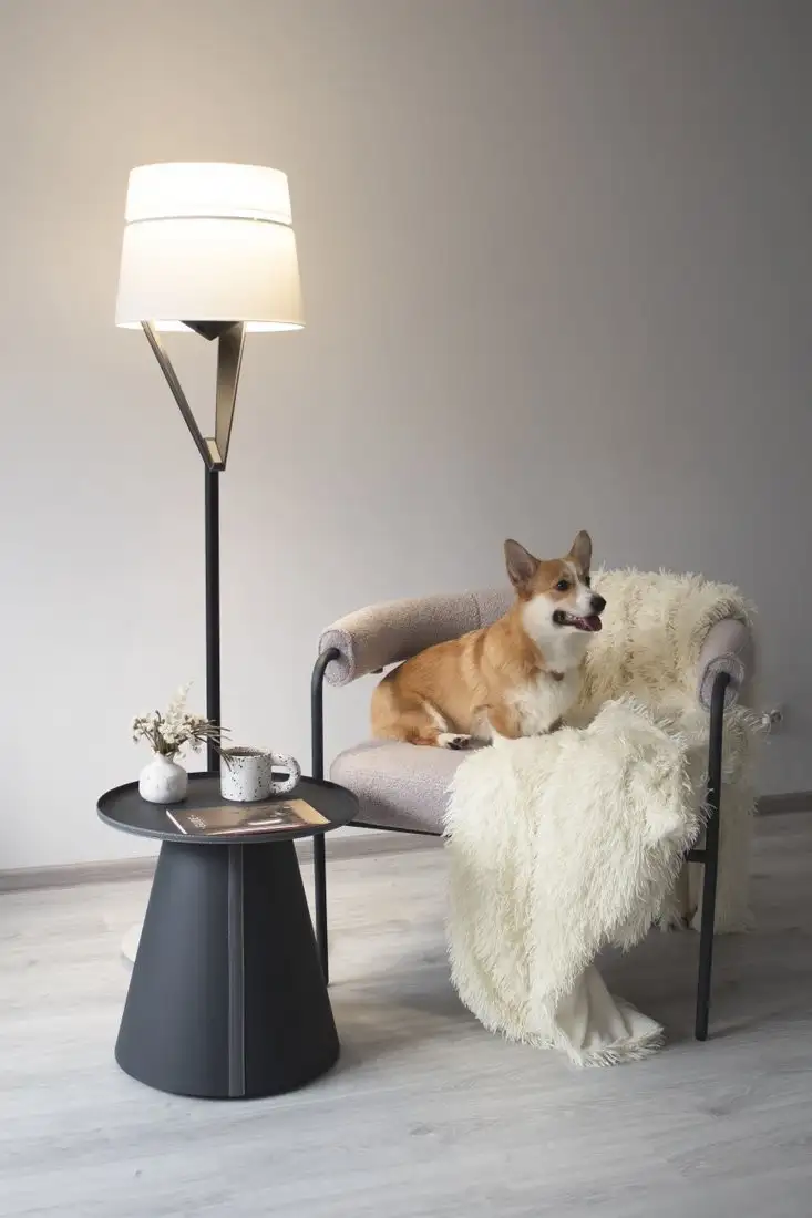 Интерьерное кресло Sheffilton SHT-AMS120 (светло-серый/антрацит) – фото товара