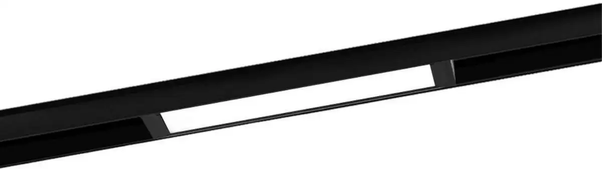 Трековый светильник Aployt Magnetic Track 220 APL.0201.00.09 – фото товара