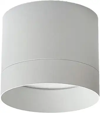 Точечный светильник TruEnergy 21025 – изображение в каталоге