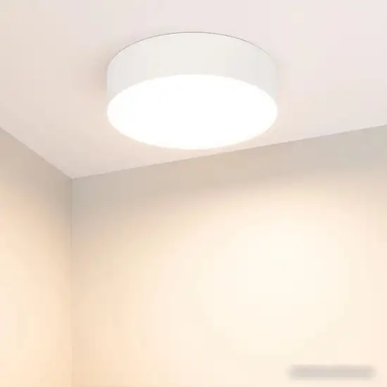 Светодиодная панель Arlight SP-RONDO-R210-20W Warm3000 022231(2) – фото товара
