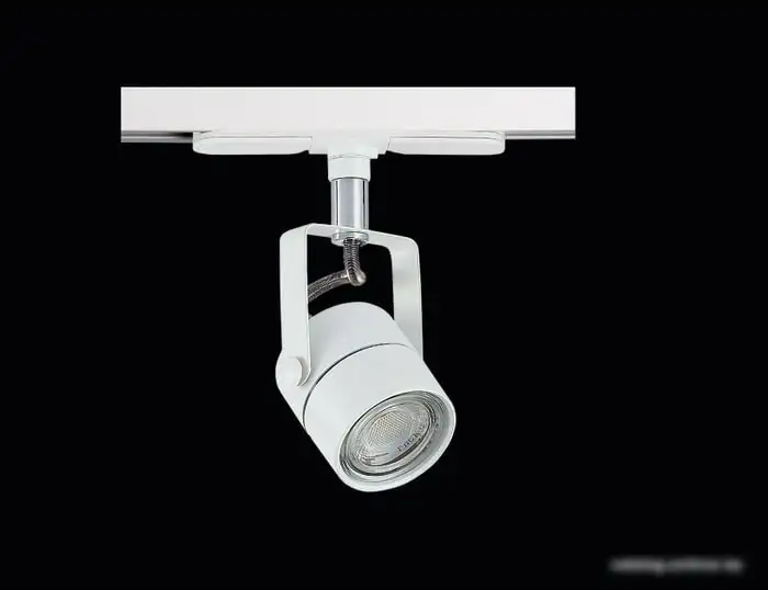 Трековый светильник Citilux Ринг CL525T10N – фото товара